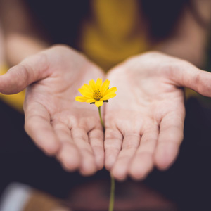Krankhafte Scham Psychotherapie Berlin Mitte