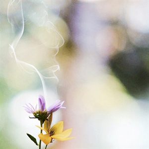Trennung nach langer Beziehung Psychotherapie Berlin Mitte